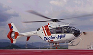 Seirei Hamamatsu General Hospital helicopter