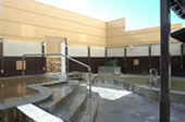 Picture on onsen
