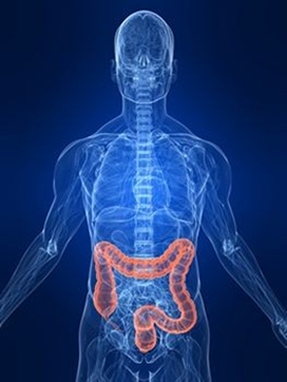Stomach Tomograph image