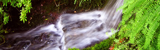 Picture of water